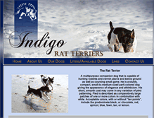 Tablet Screenshot of indigoratterriers.com